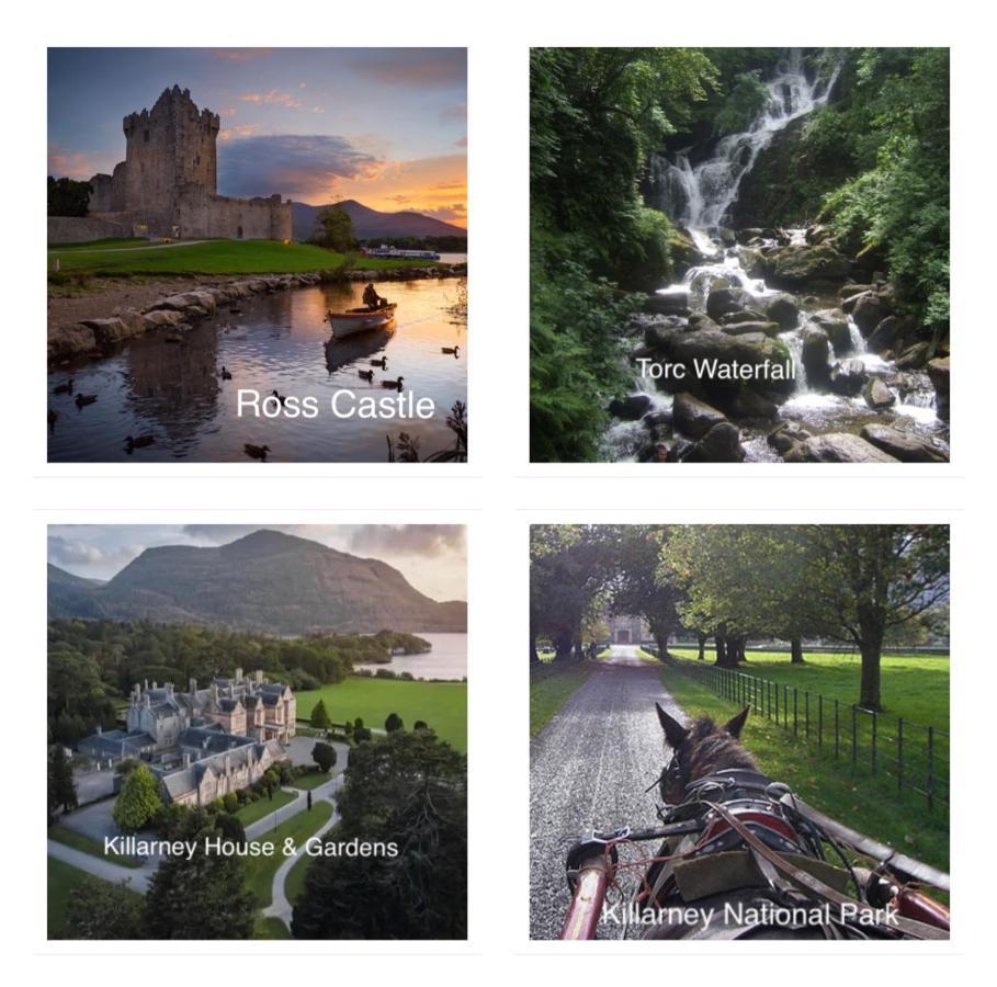 Country View House Hotel Milltown  Bagian luar foto